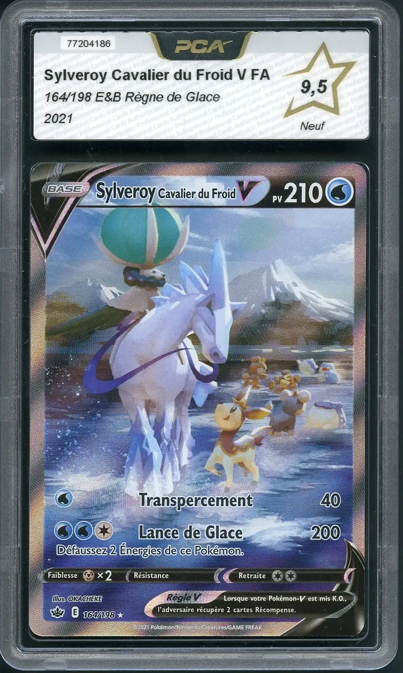 PCA 9.5 Sylveroy Cavalier du Froid V
