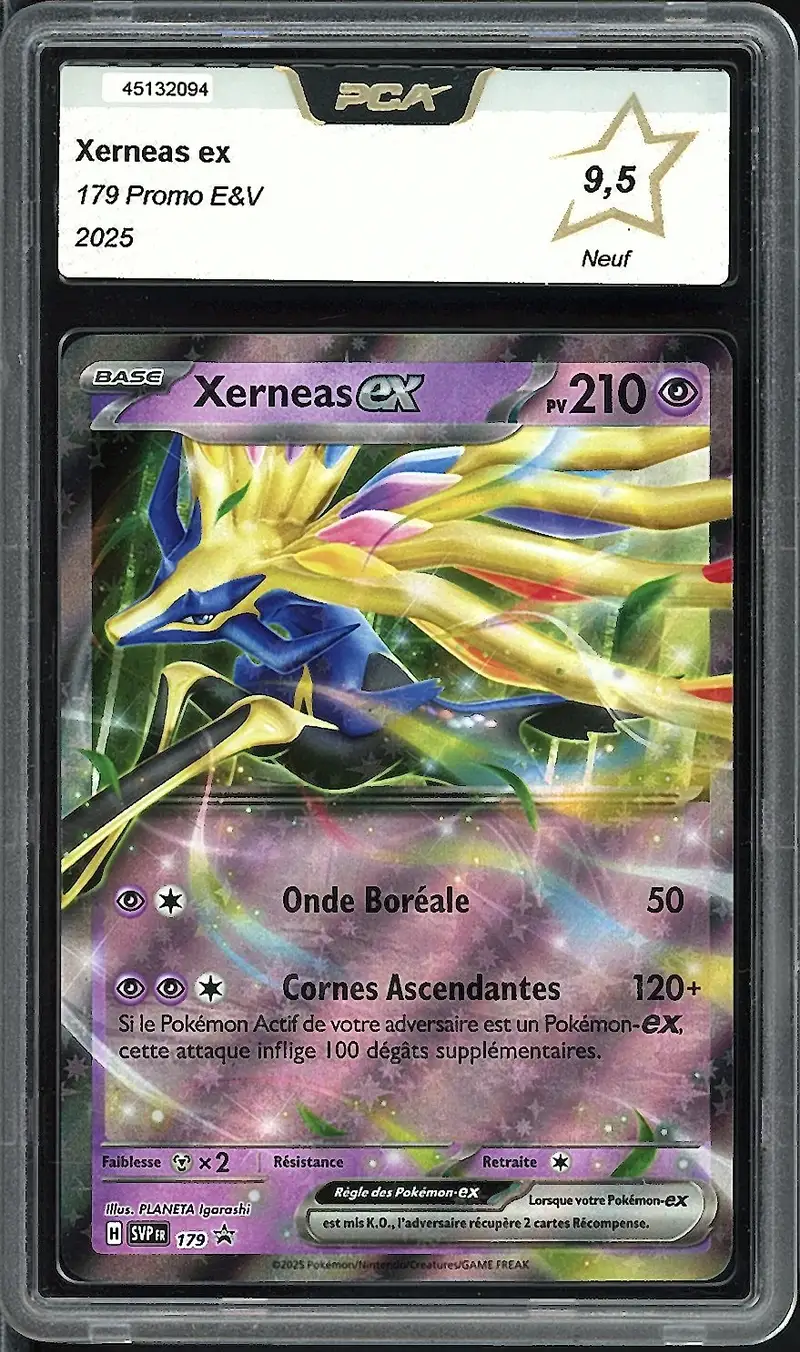 PCA 9.5 Xerneas Ex