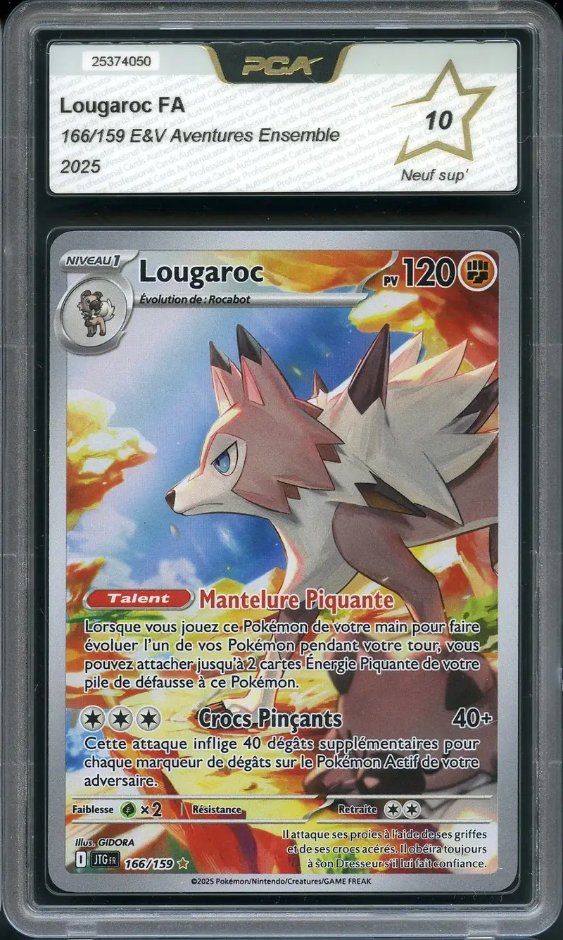 PCA 10 Lougaroc