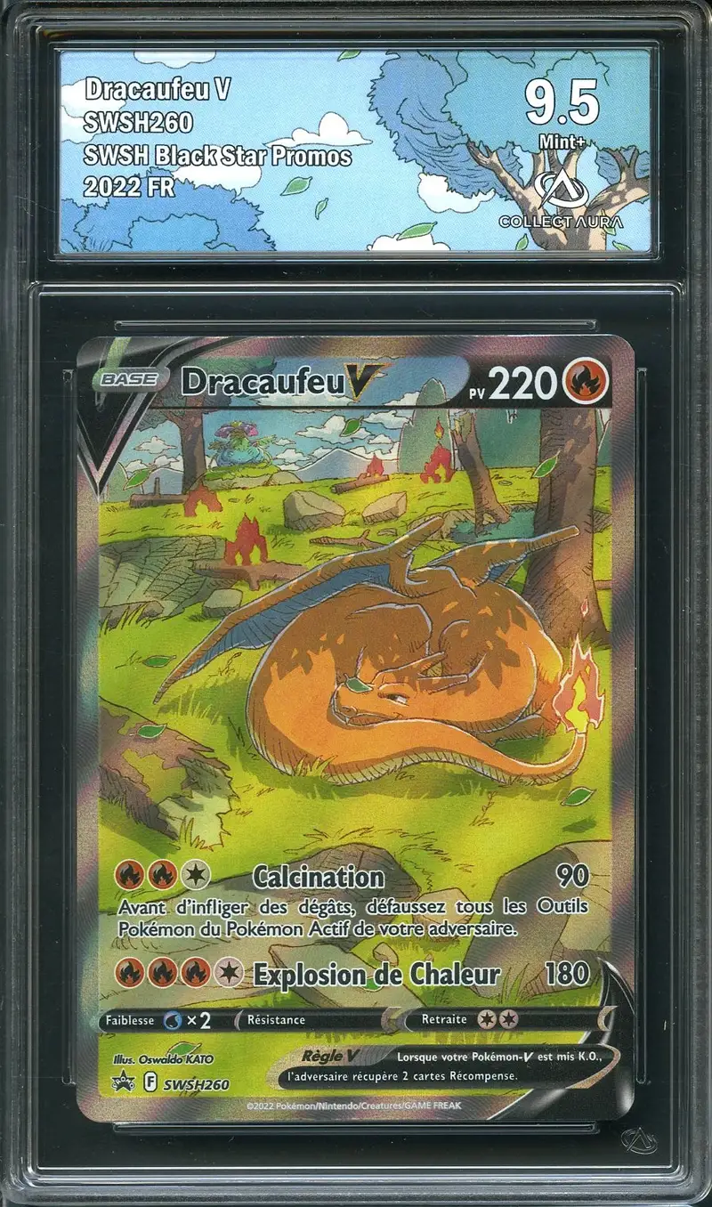 CA 9.5 Dracaufeu V