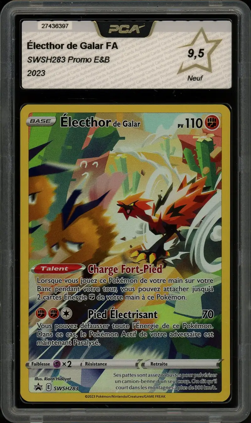 PCA 9.5 Electhor de Galar
