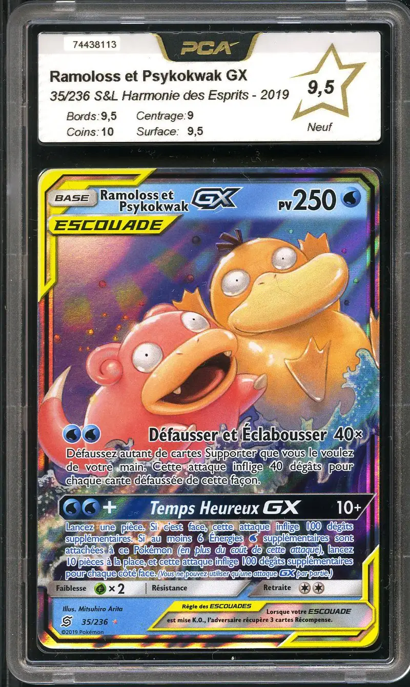 PCA 9.5 Ramoloss et Psykokwak Gx