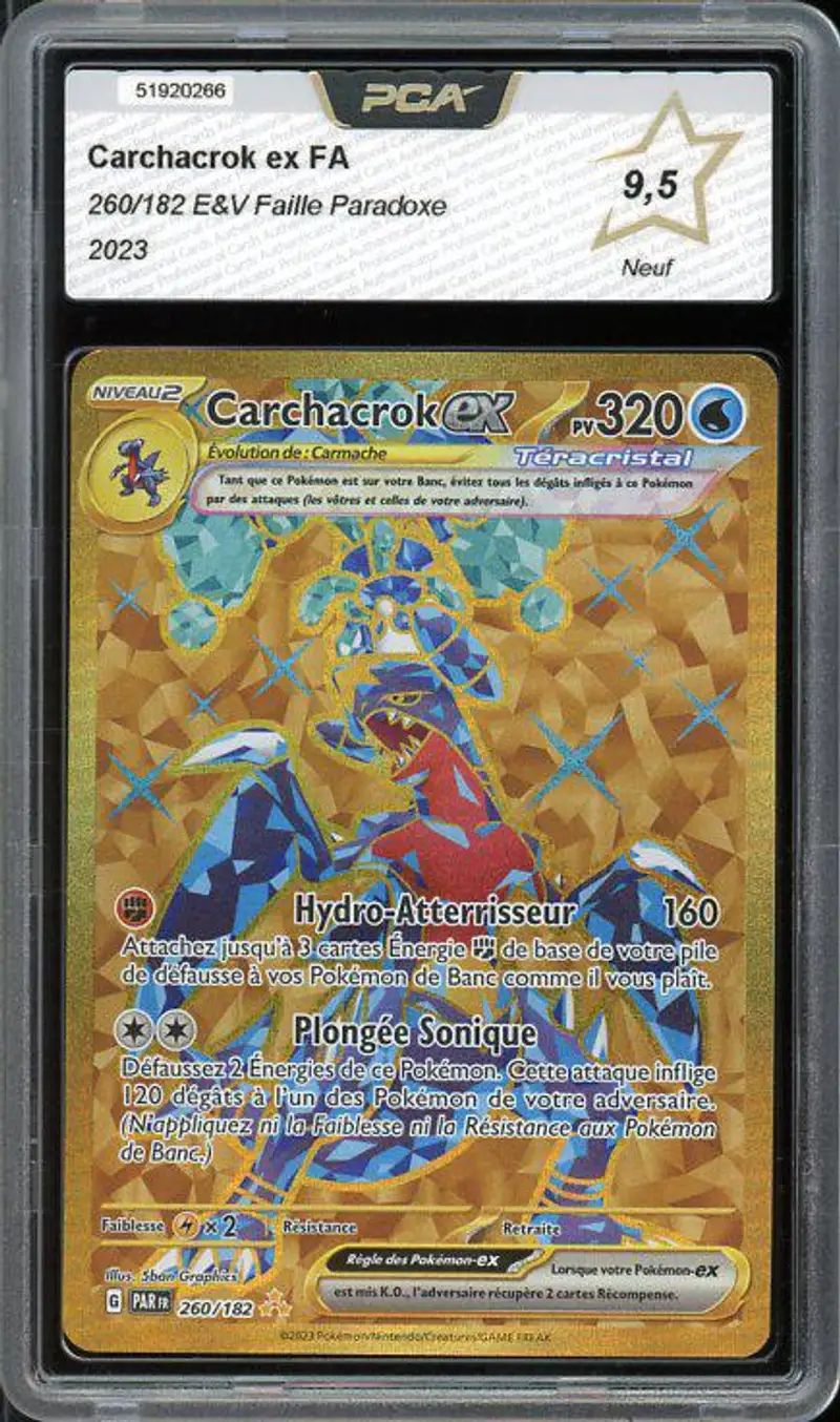 PCA 9.5 Carchacrok Ex Gold