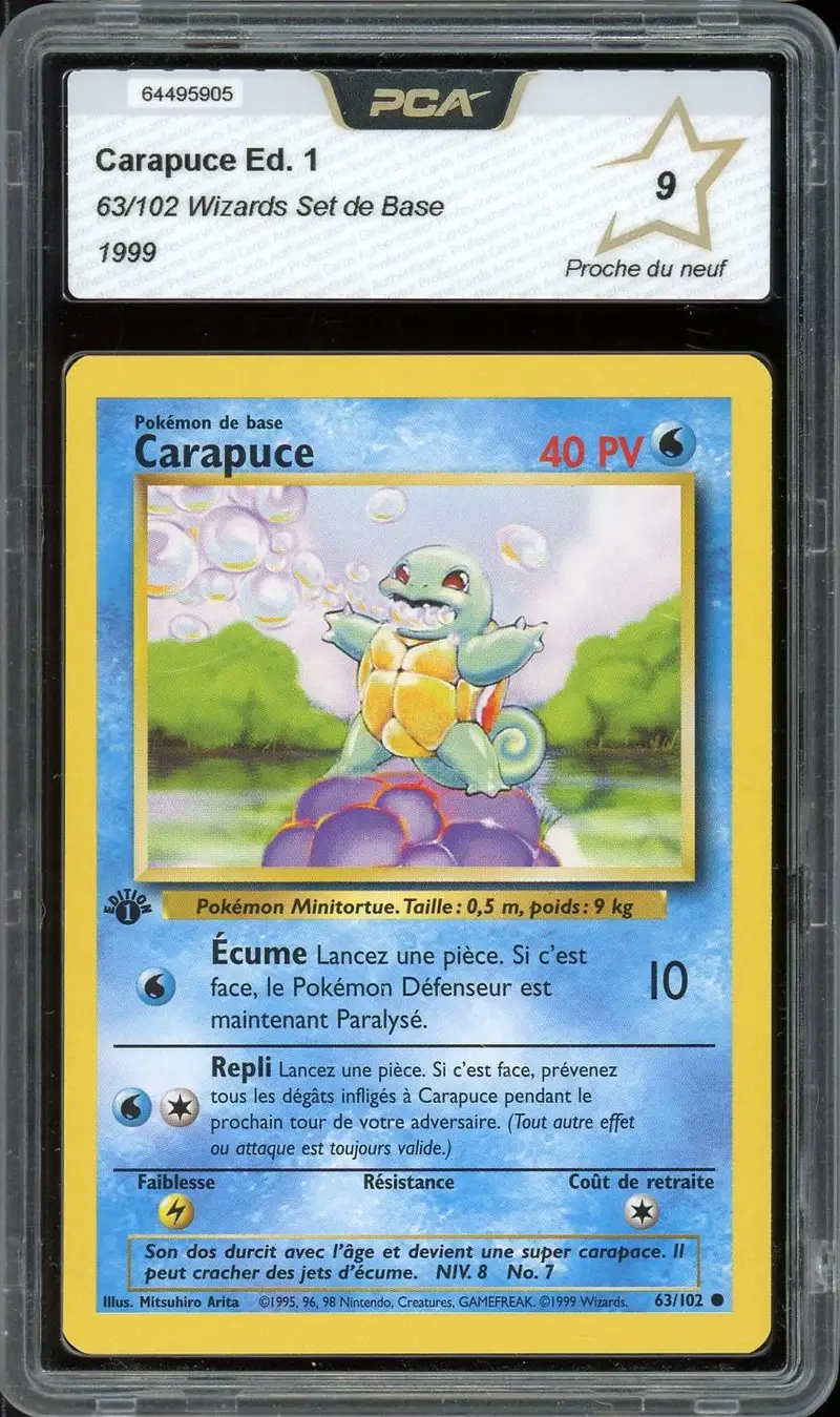 PCA 9 Carapuce