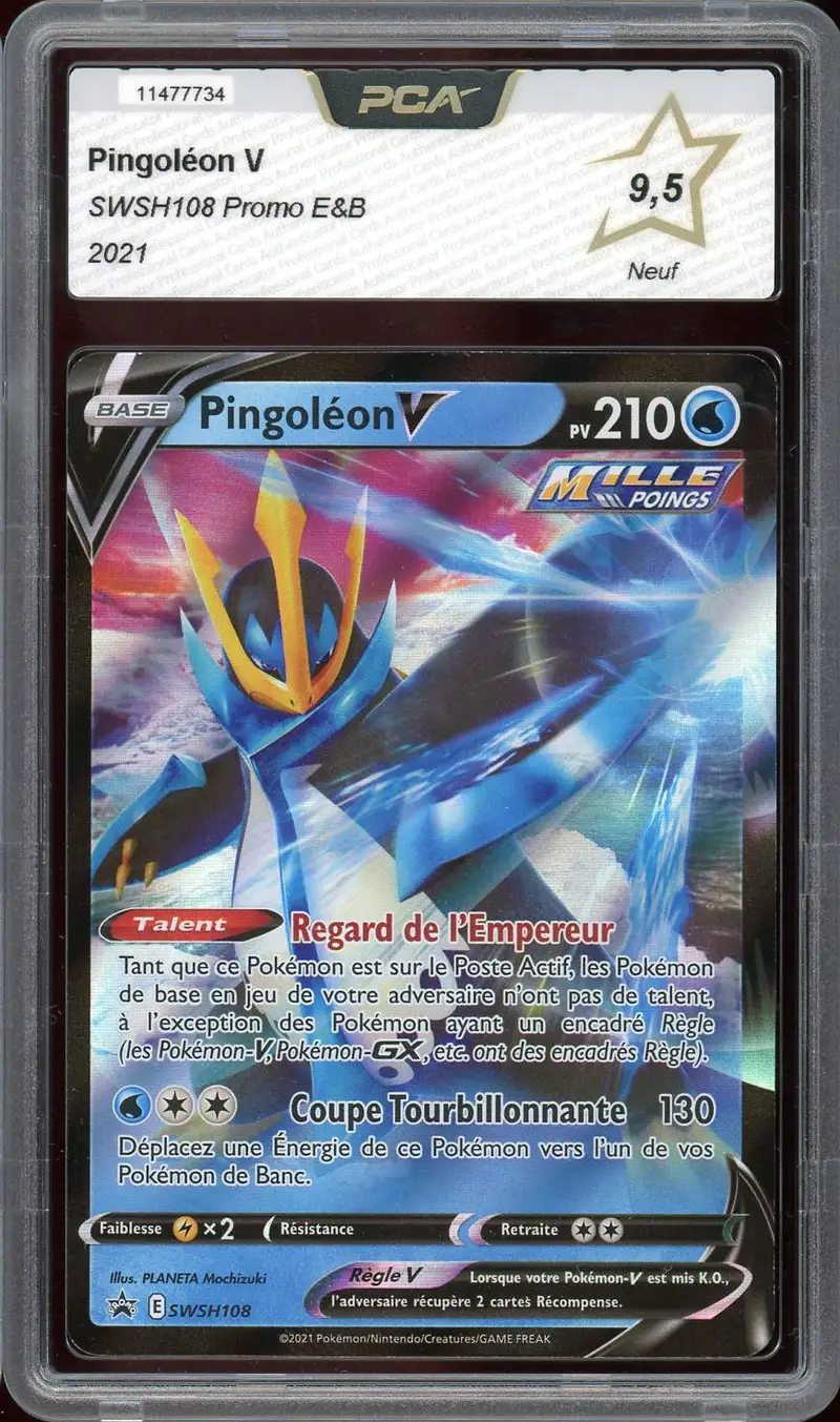 PCA 9.5 Pingoléon V