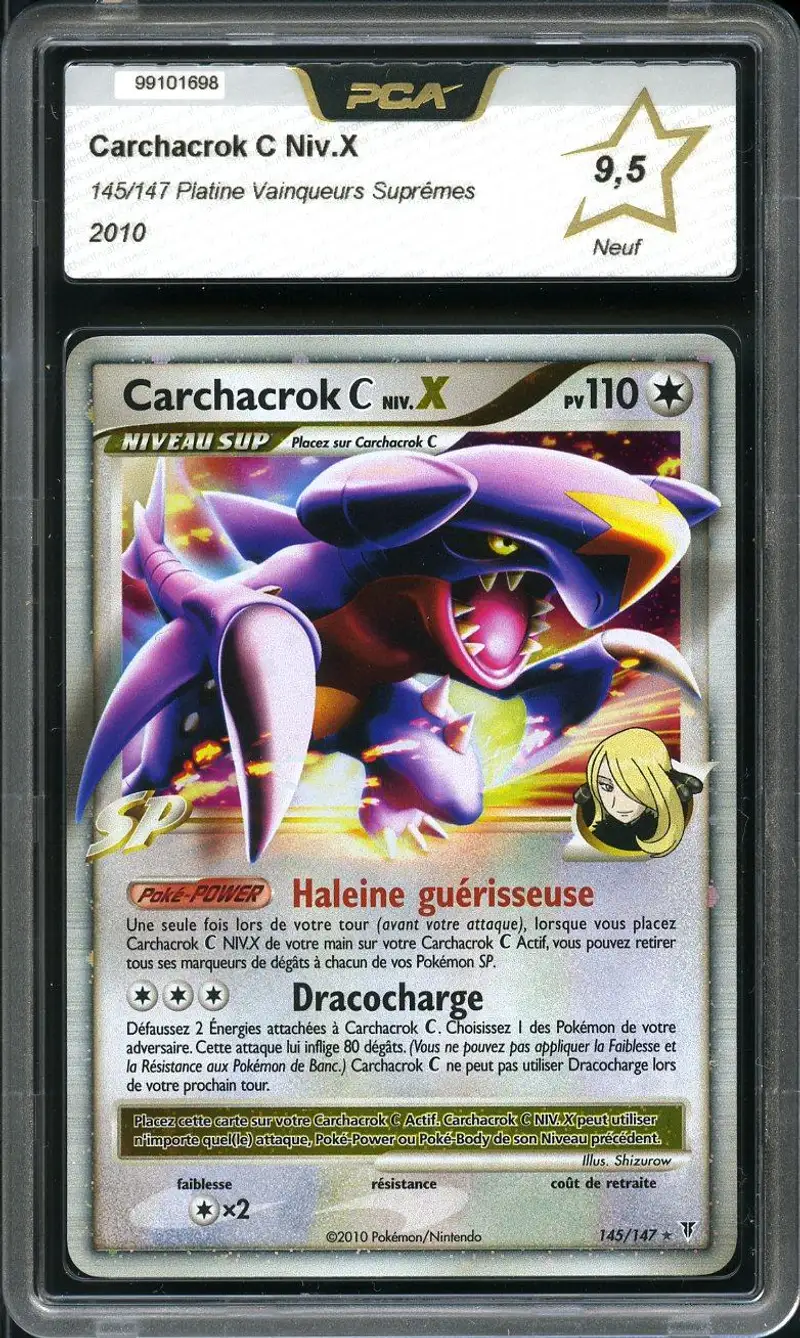 PCA 9.5 Carchacrok C Niv.X
