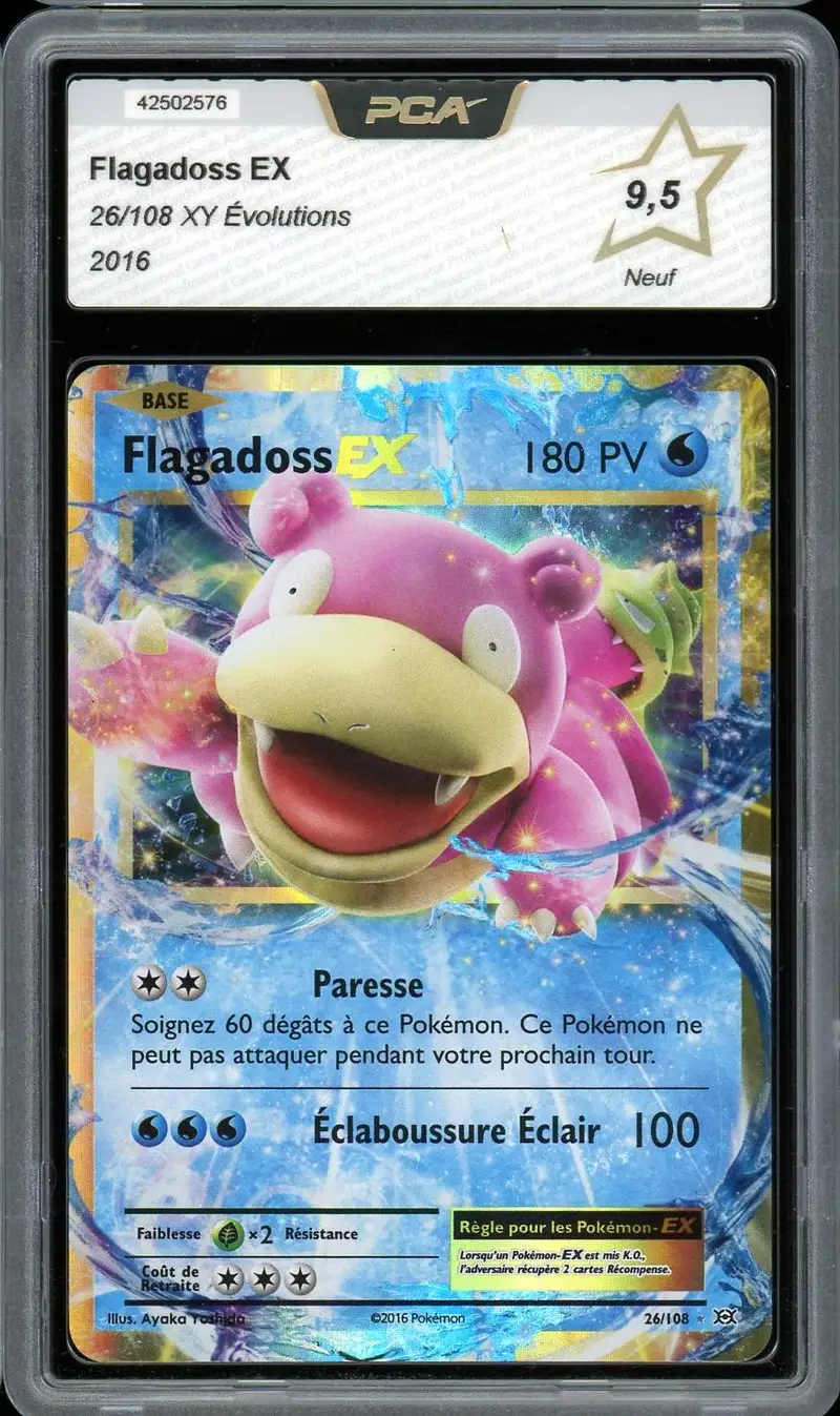 PCA 9.5 Flagadoss Ex