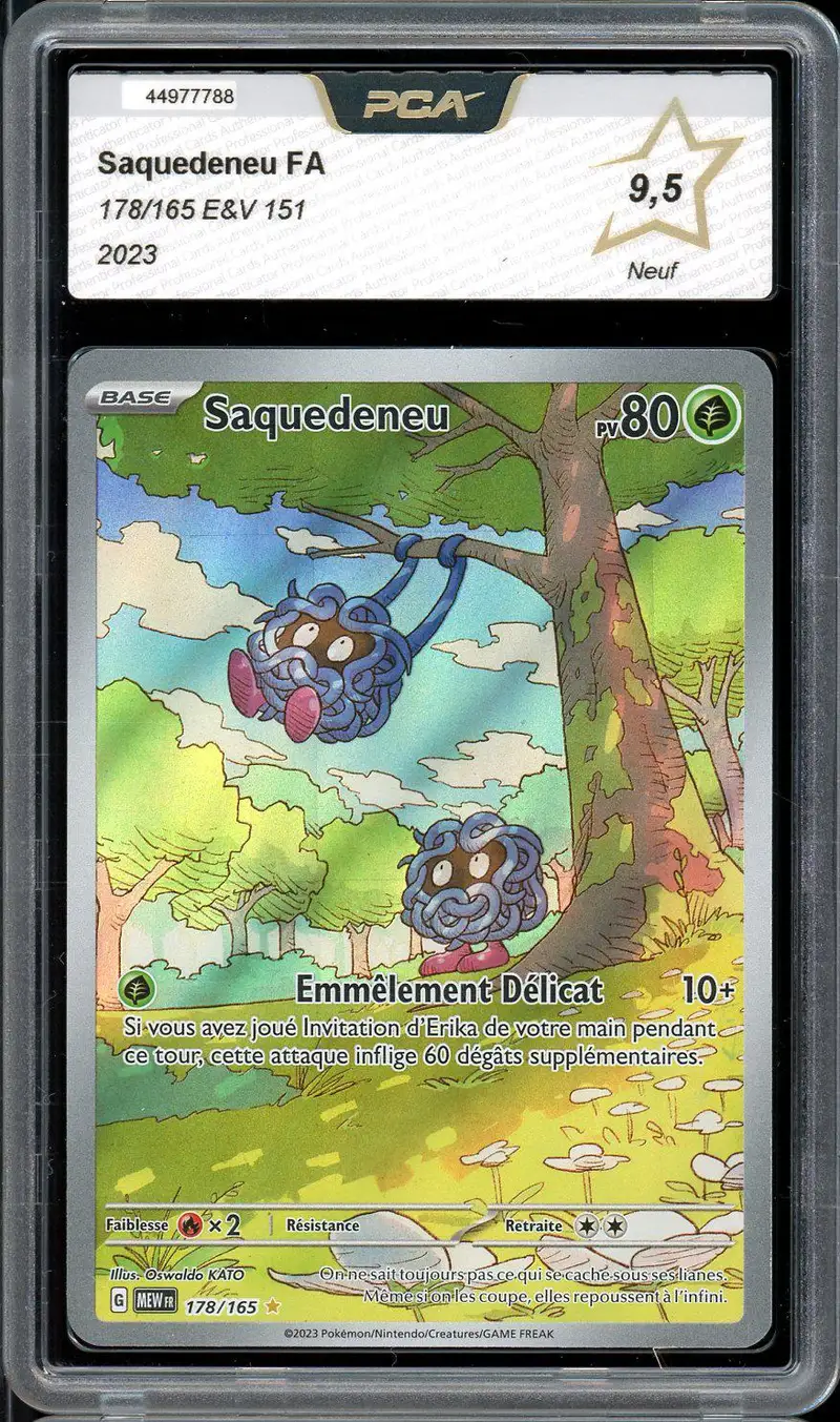 PCA 9.5 Saquedeneu