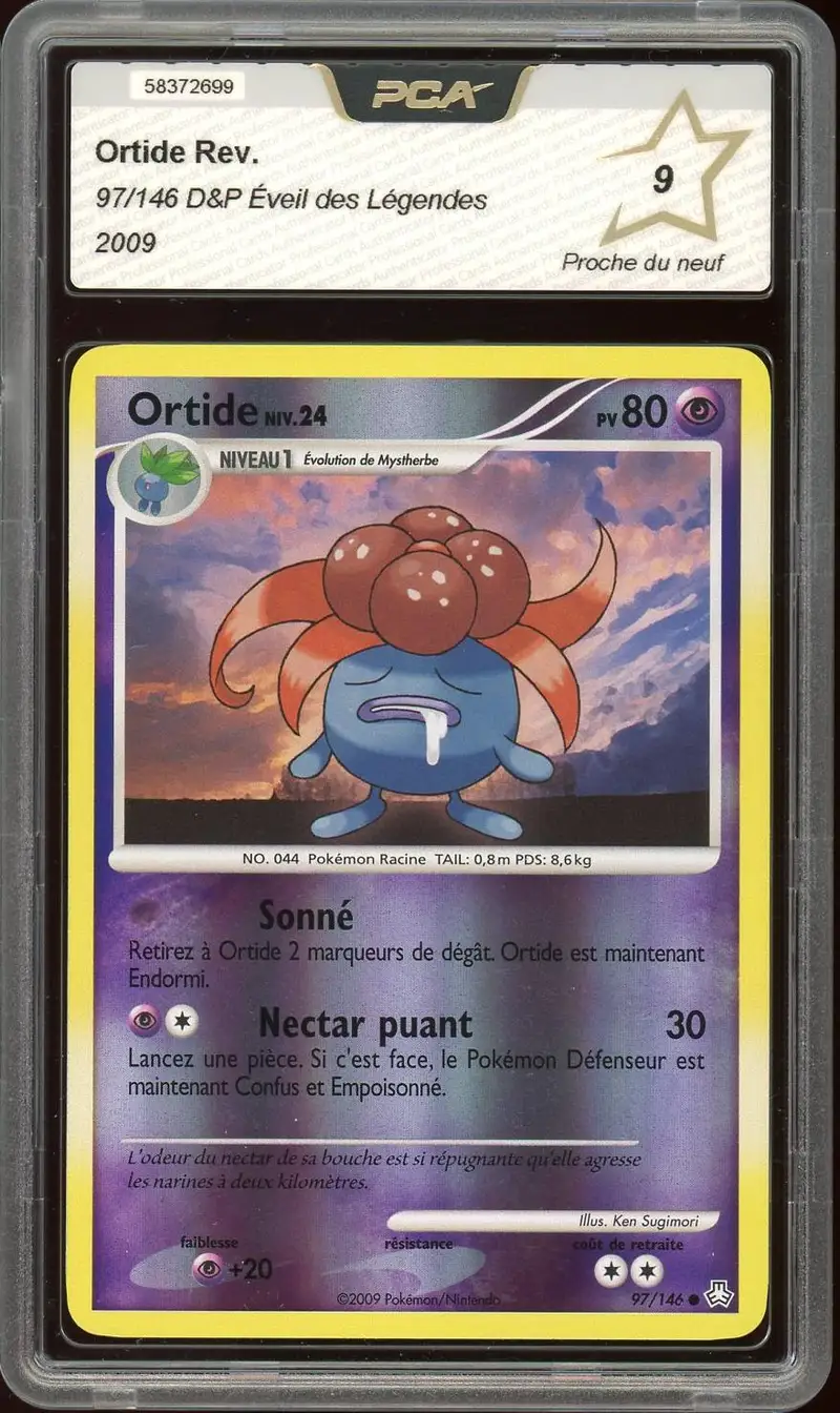PCA 9 Ortide Reverse