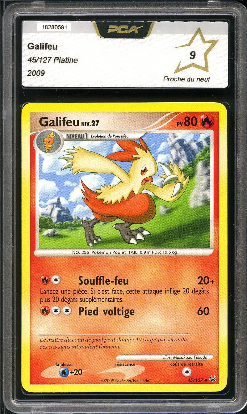 PCA 9 Galifeu