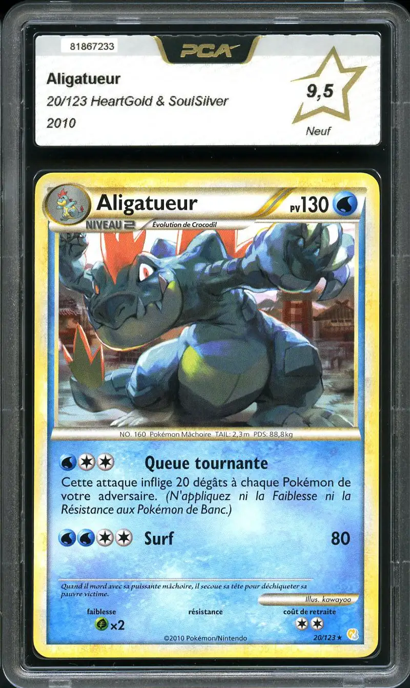 PCA 9.5 Aligatueur
