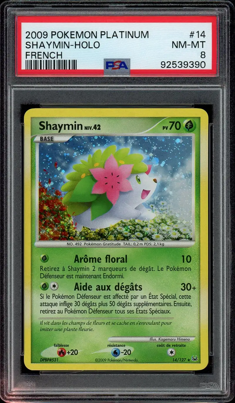 PSA 8 Shaymin Holo