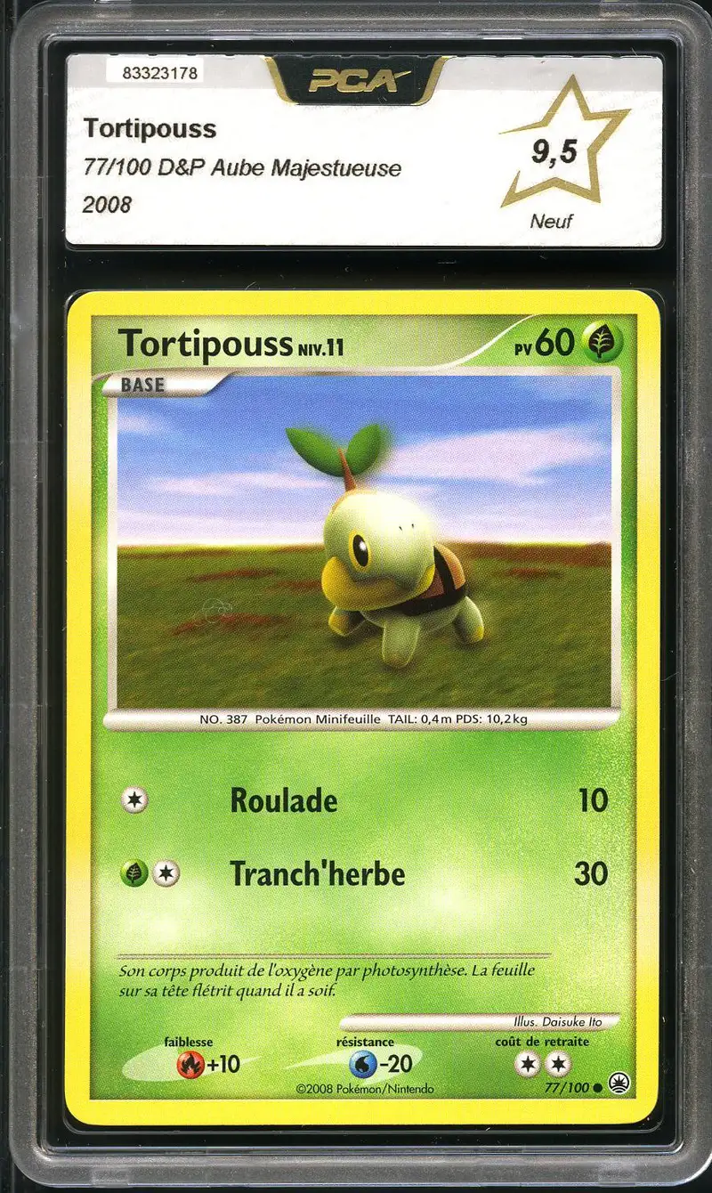 PCA 9.5 Tortipouss