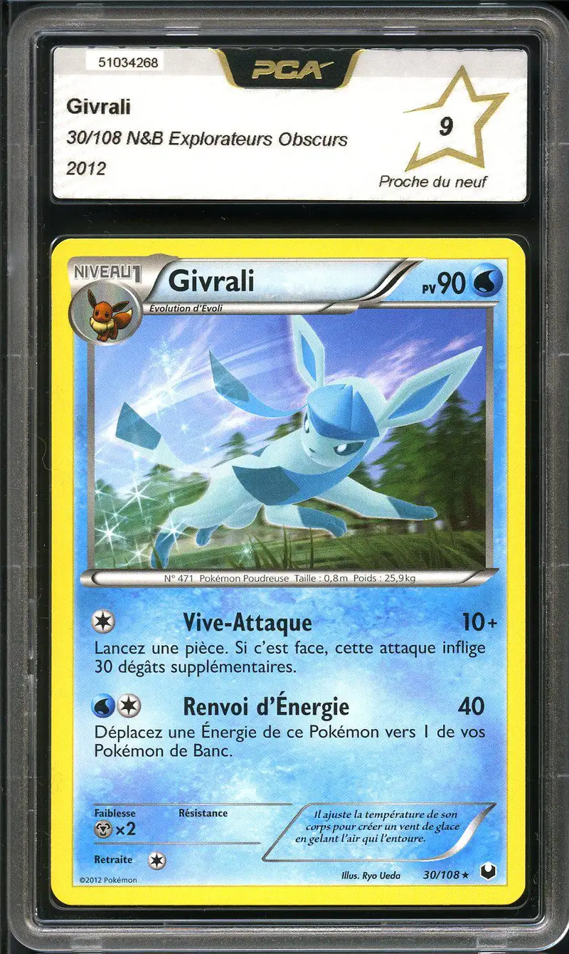 PCA 9 Givrali