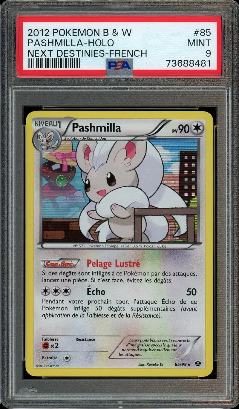 PSA 9 Pashmilla Holo