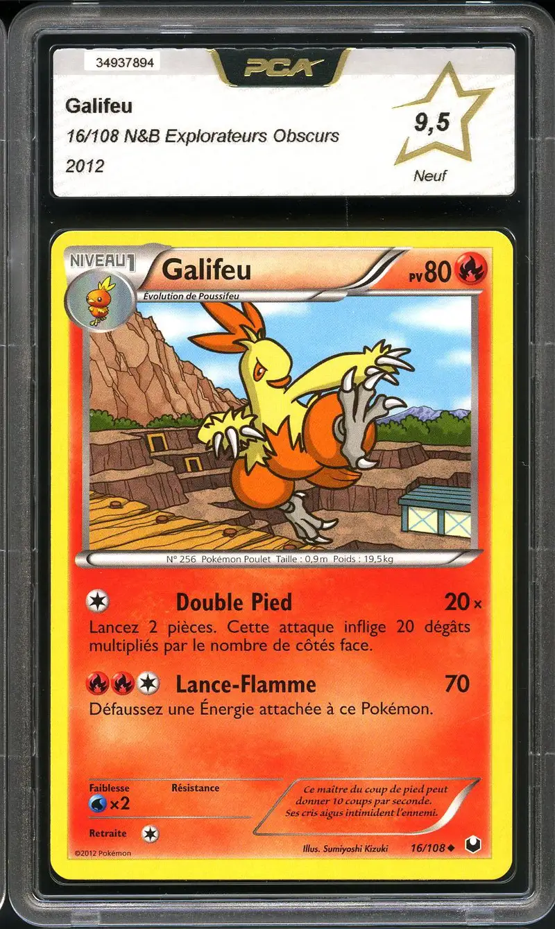 PCA 9.5 Galifeu