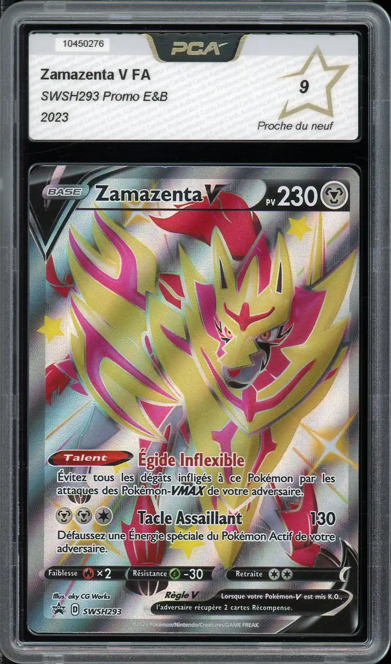 PCA 9 Zamazenta V