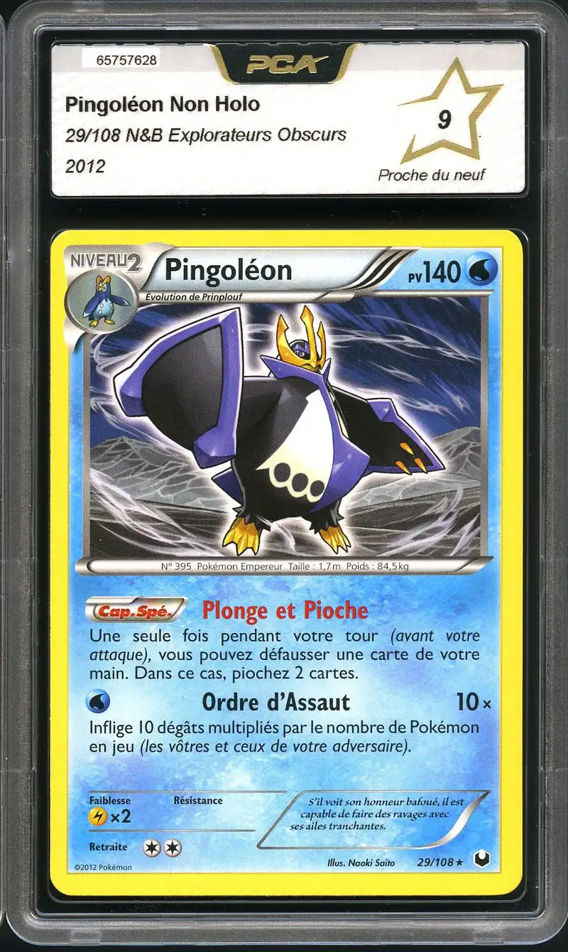 PCA 9 Pingoléon