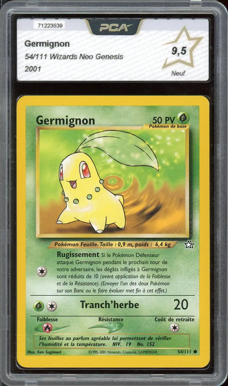PCA 9.5 Germignon