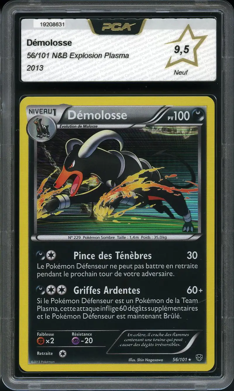 PCA 9.5 Démolosse Holo