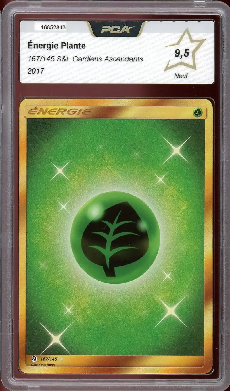 PCA 9.5 Energie Plante Gold