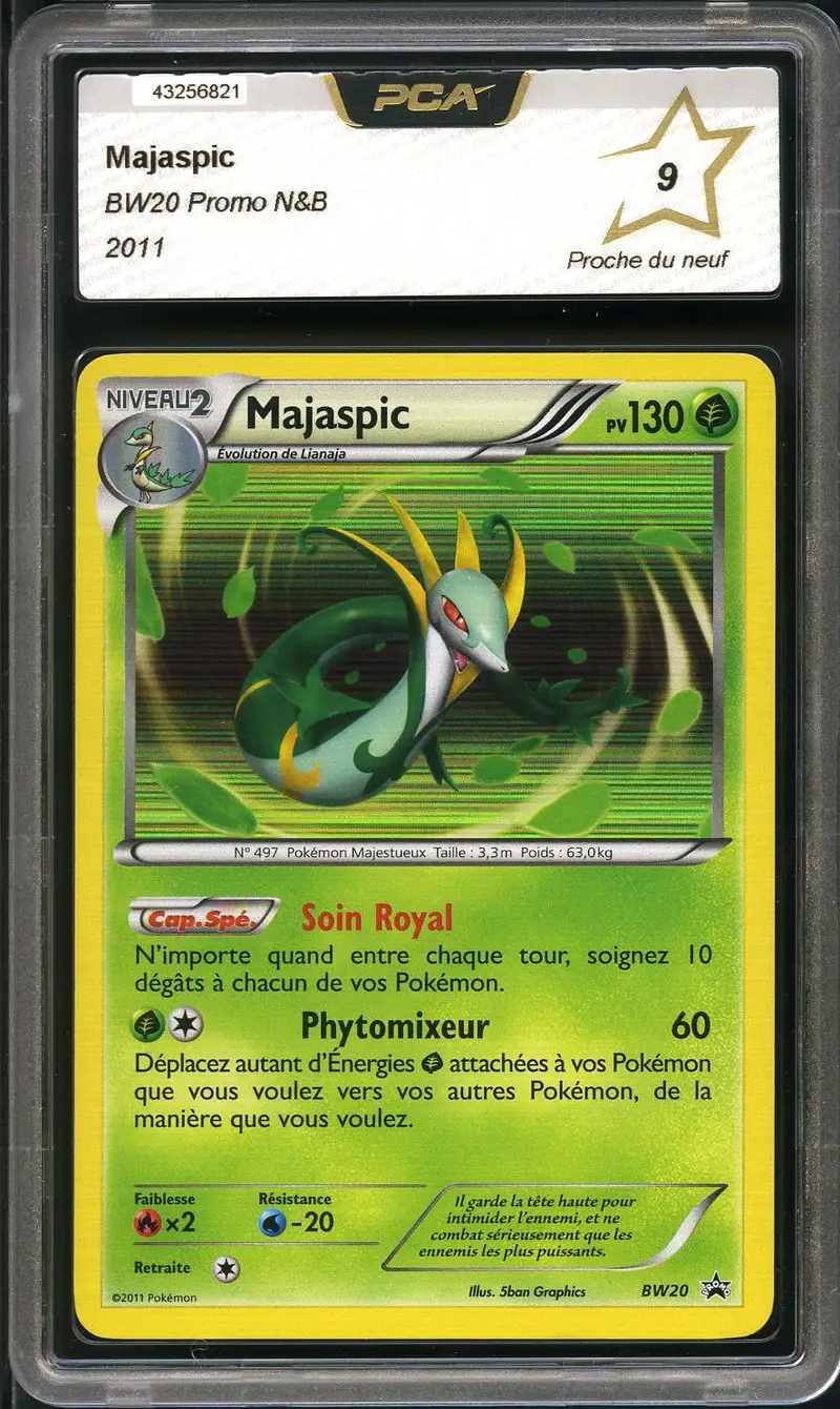 PCA 9 Majaspic Holo