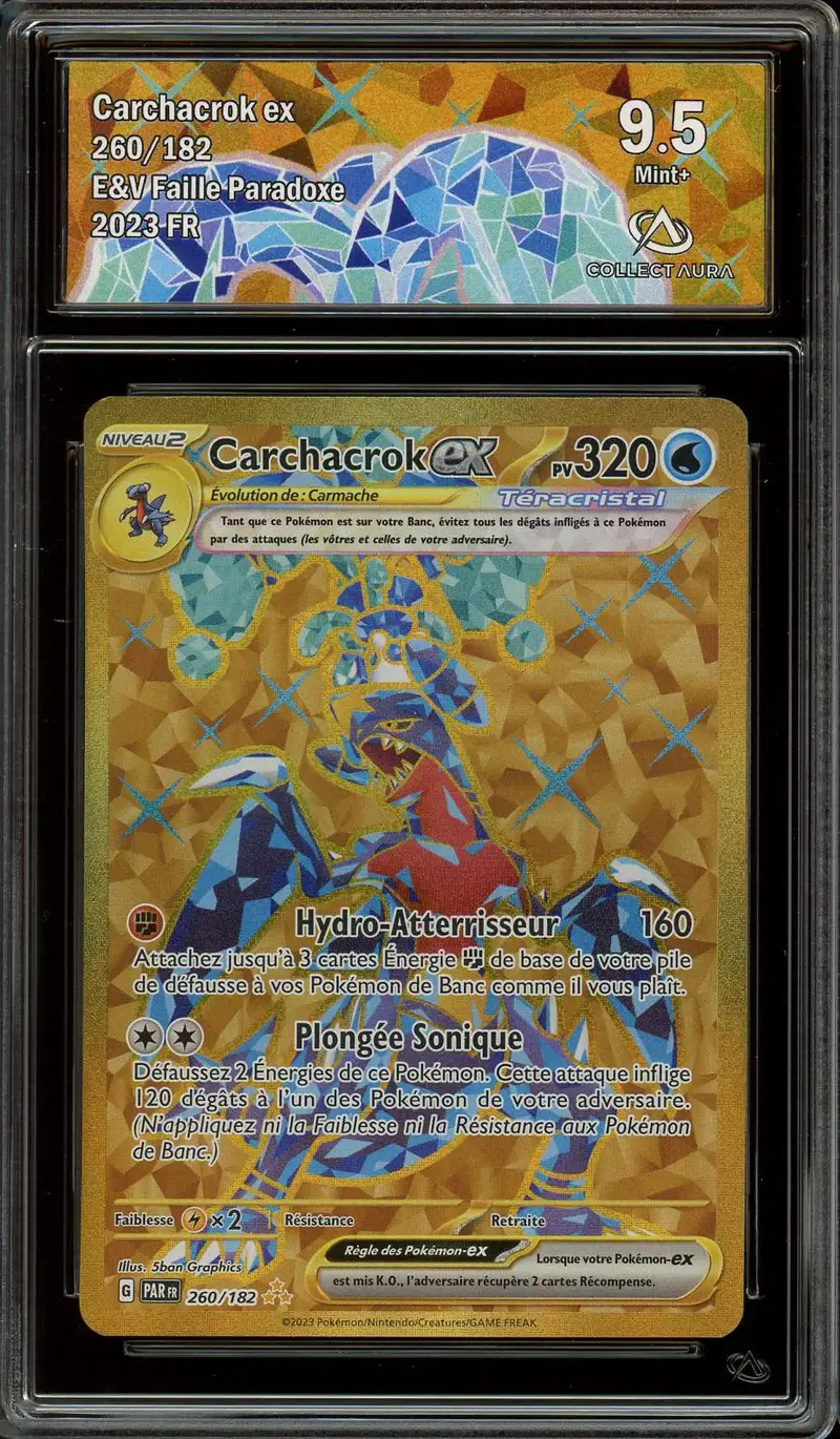 CA 9.5 Carchacrok Ex