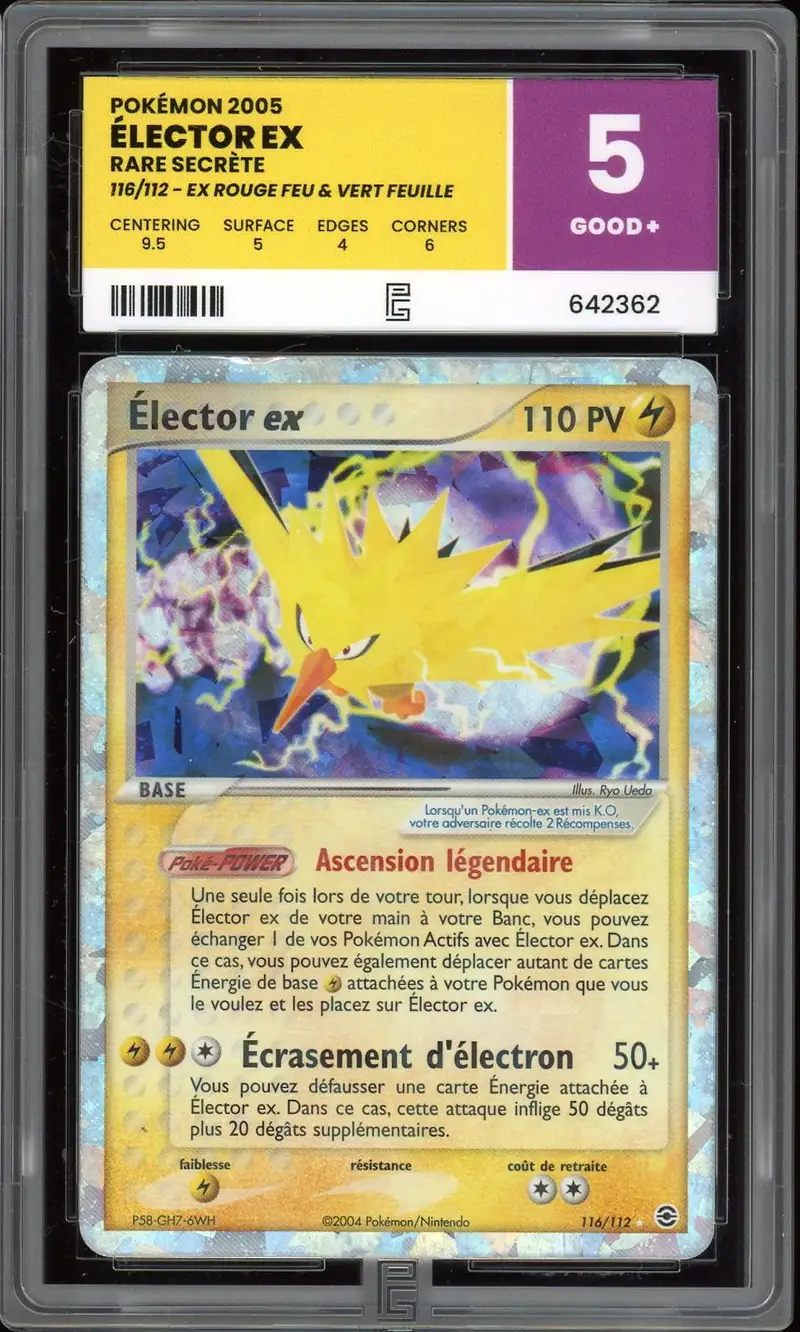PG 5 Elector Ex