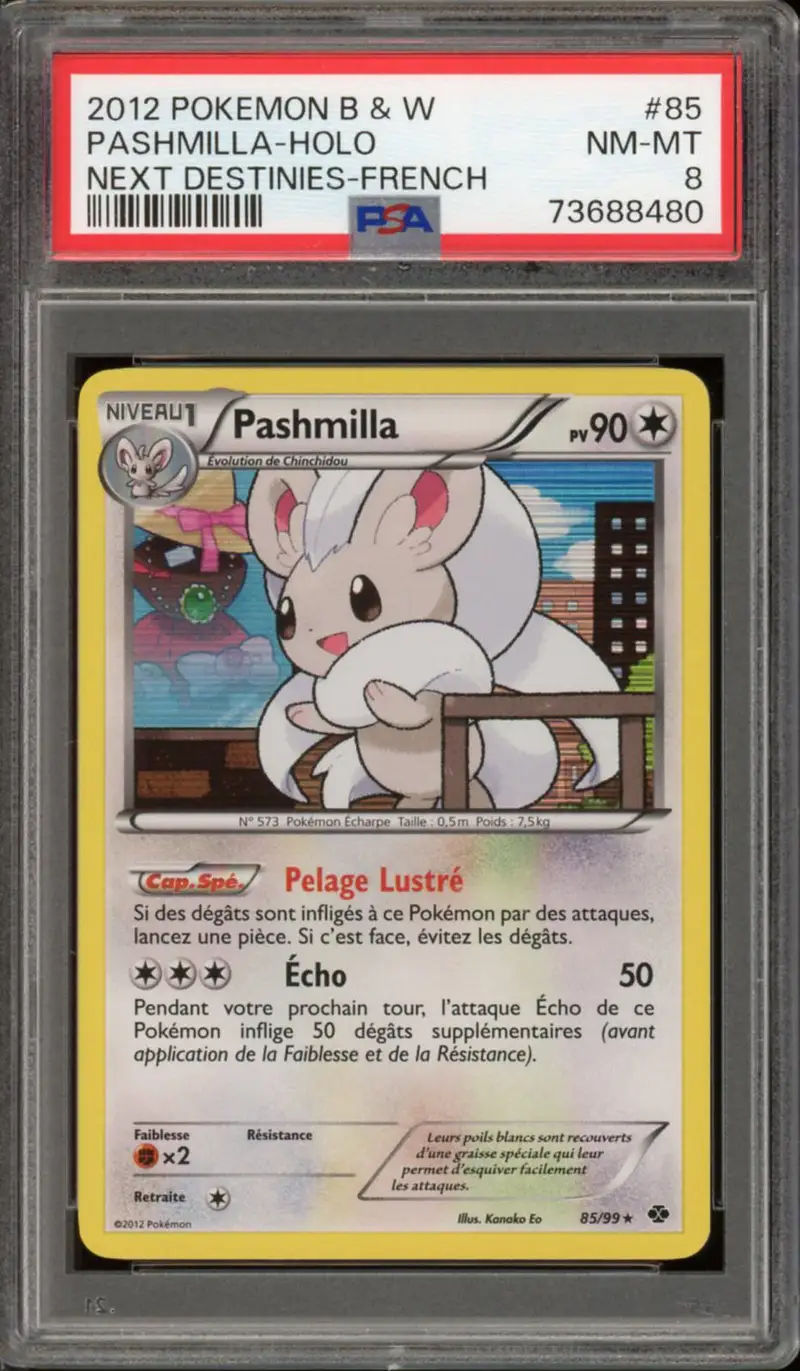 PSA 8 Pashmilla Holo