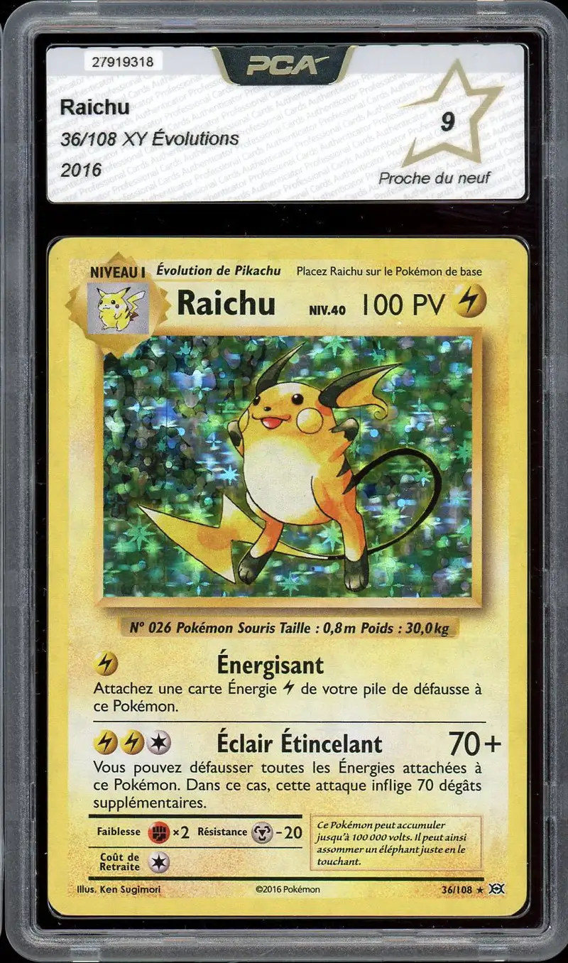PCA 9 Raichu Holo