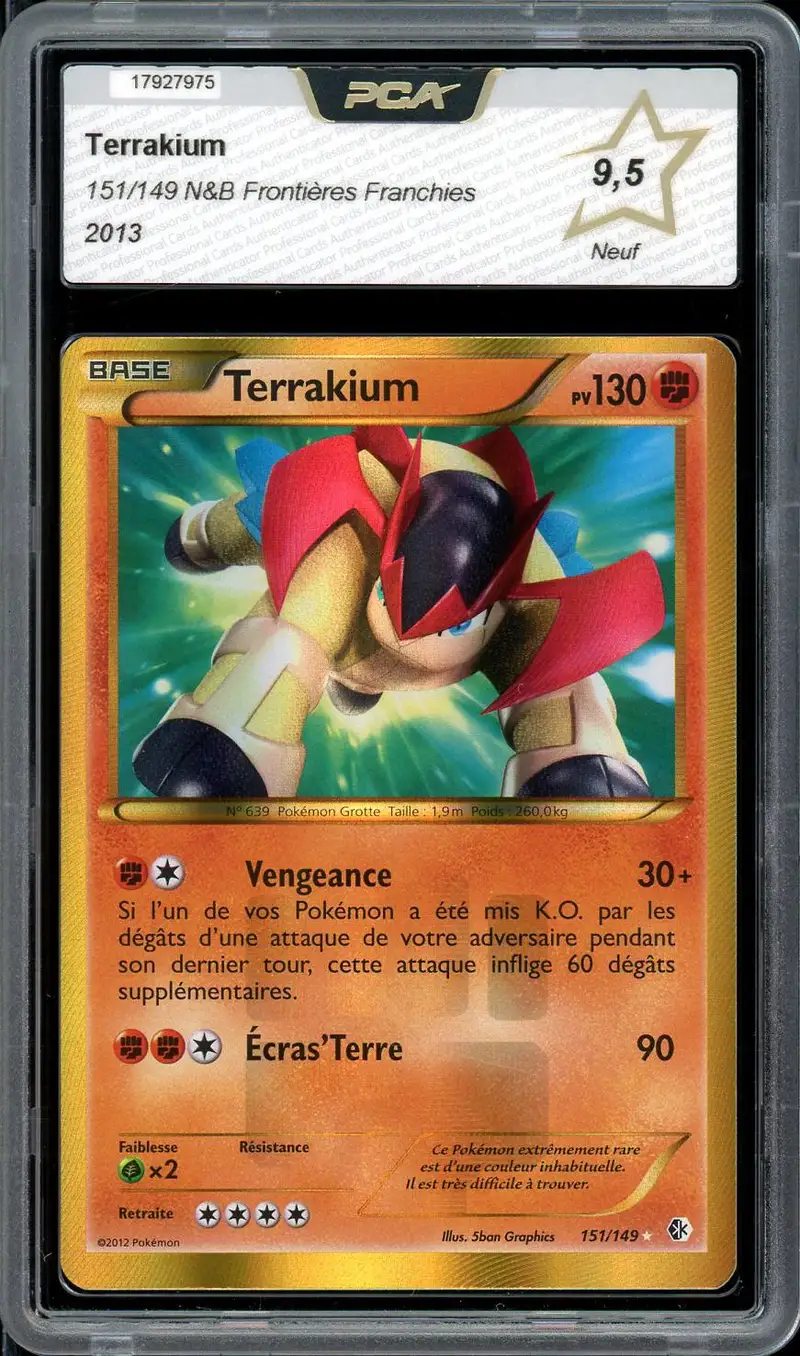 PCA 9.5 Terrakium Holo