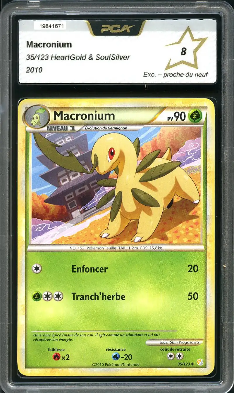 PCA 8 Macronium
