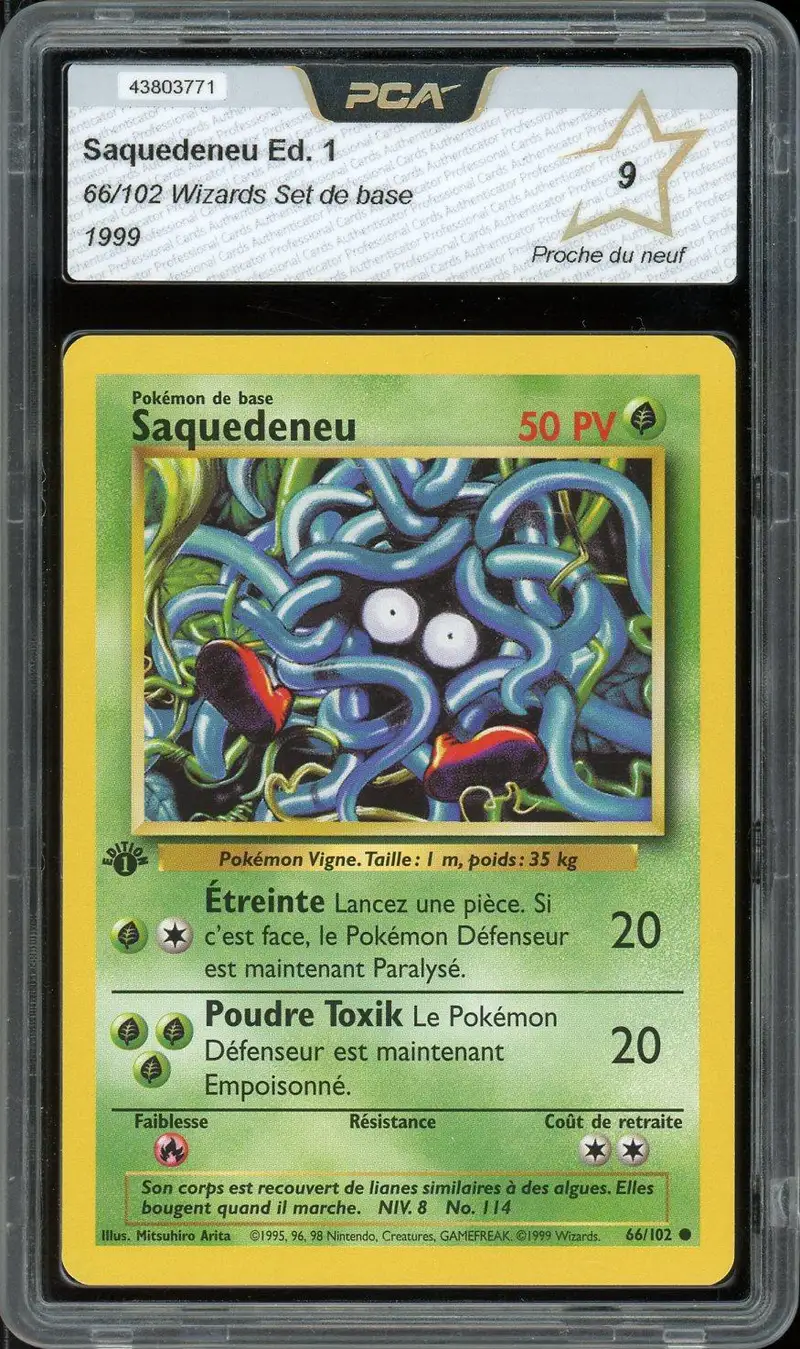 PCA 9 Saquedeneu