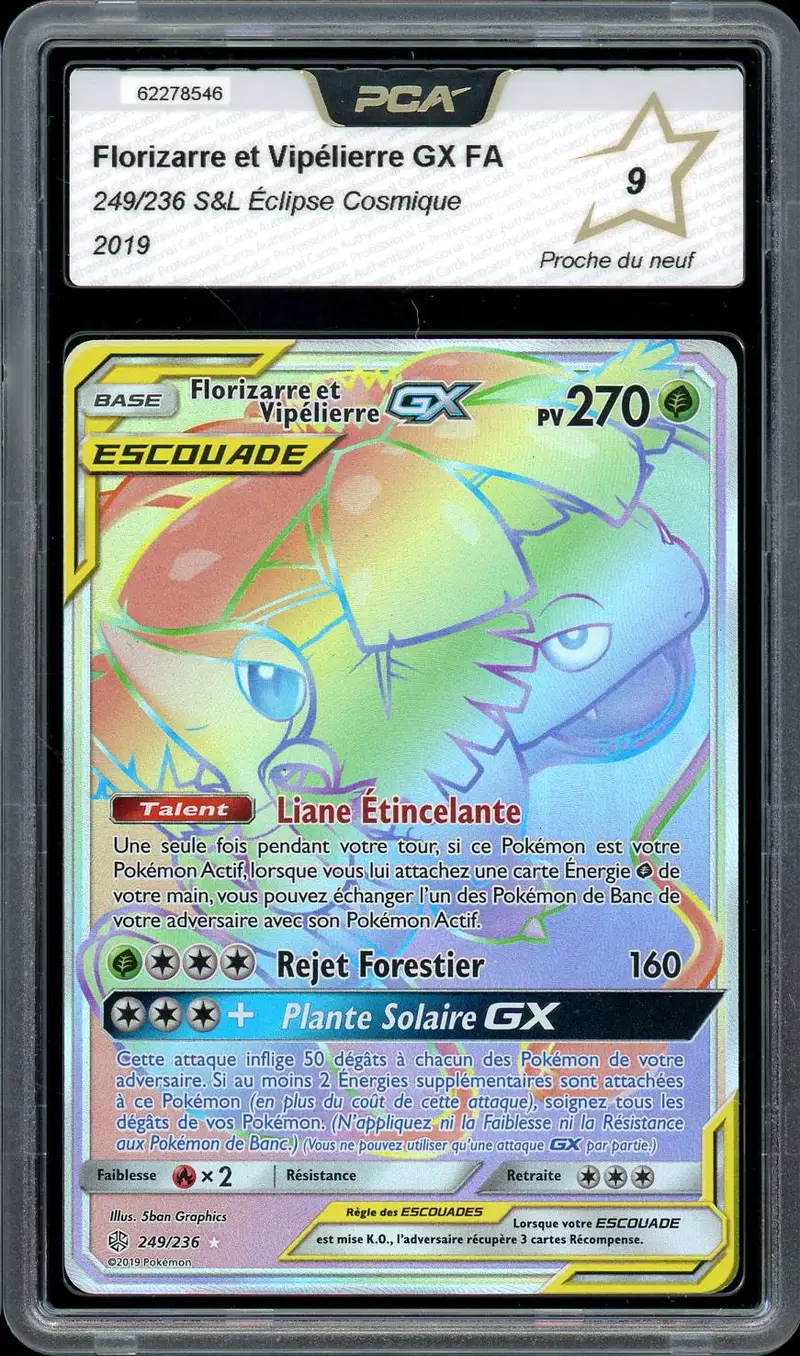 PCA 9 Florizarre et Vipélierre Gx Rainbow