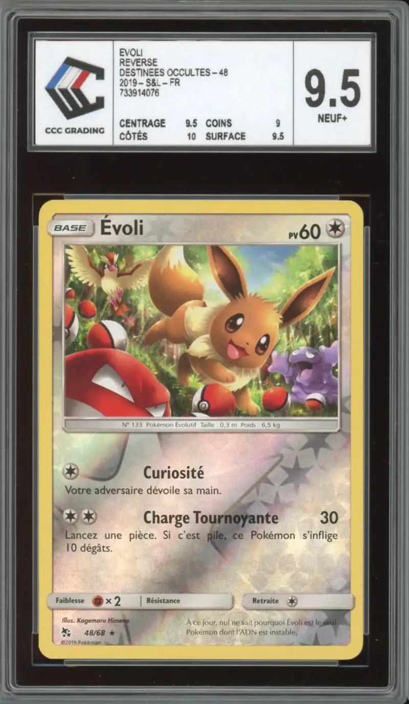 CCC 9.5 Evoli Reverse
