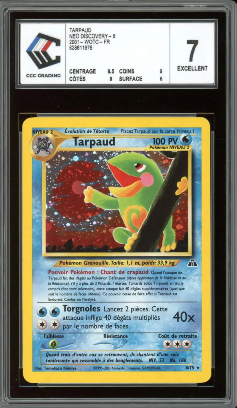 CCC 7 Tarpaud Holo