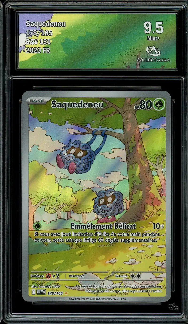CA 9.5 Saquedeneu