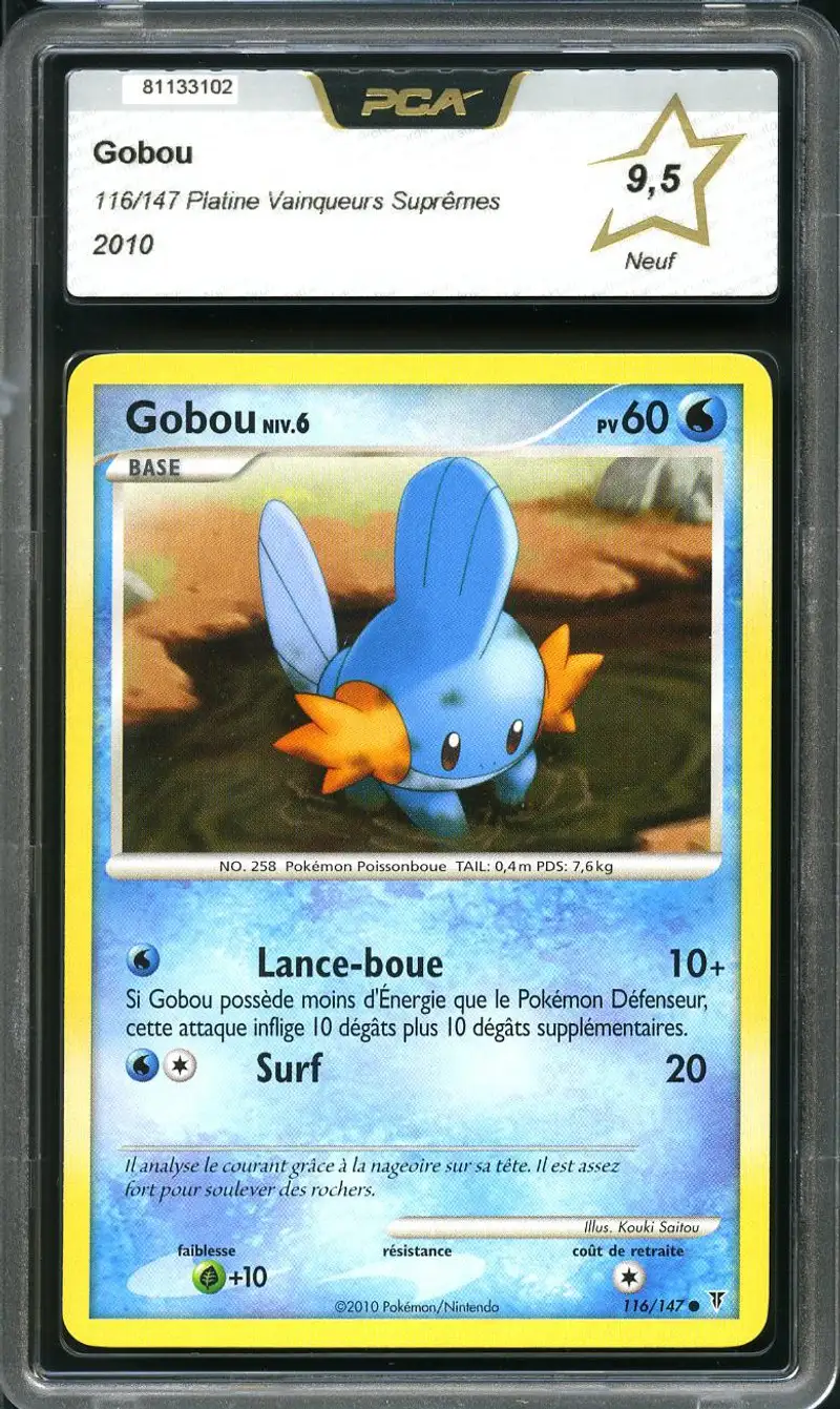 PCA 9.5 Gobou