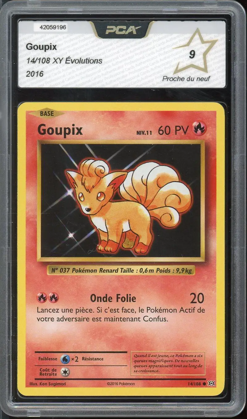 PCA 9 Goupix