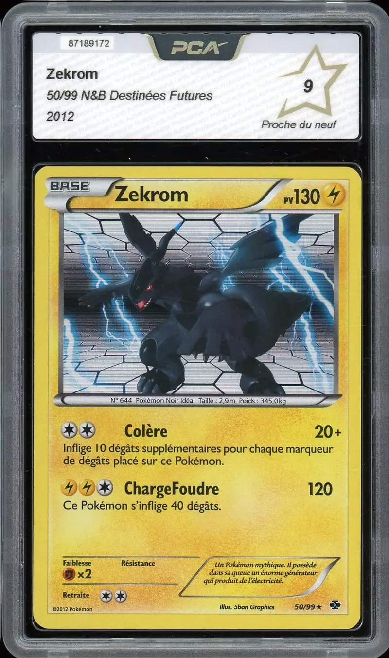 PCA 9 Zekrom Holo
