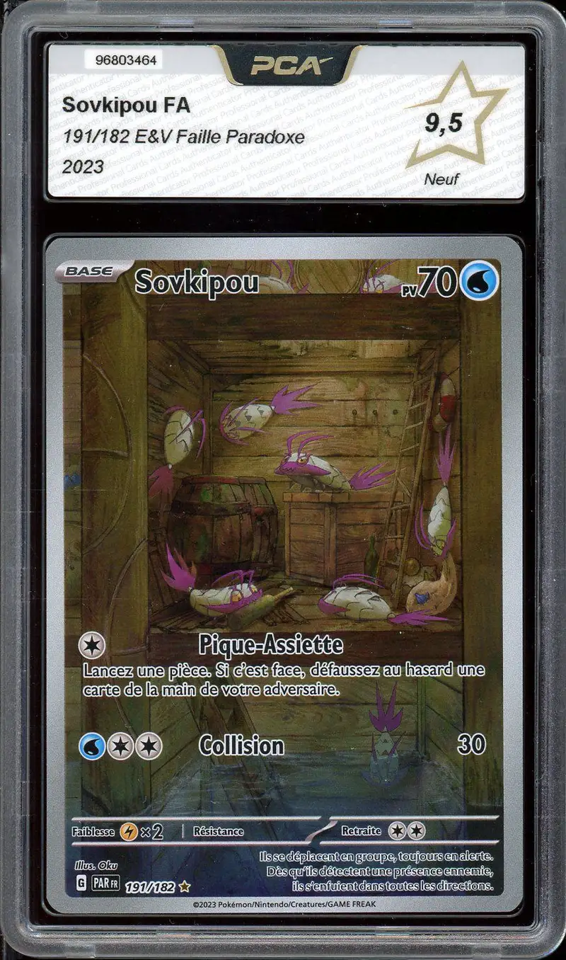 PCA 9.5 Sovkipou