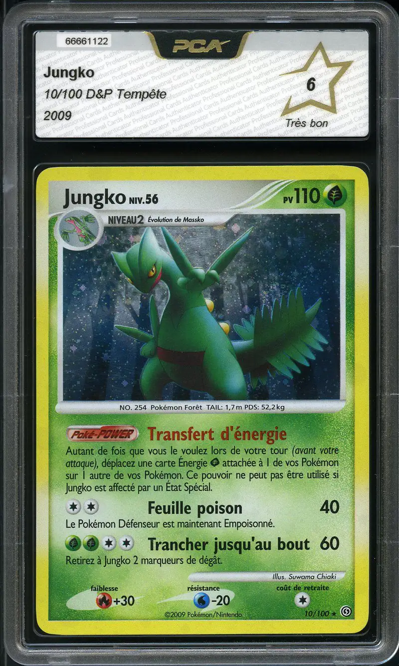 PCA 6 Jungko Holo