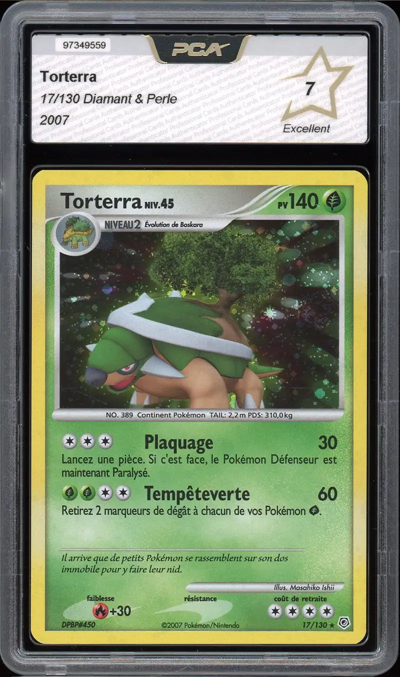 PCA 7 Torterra Holo