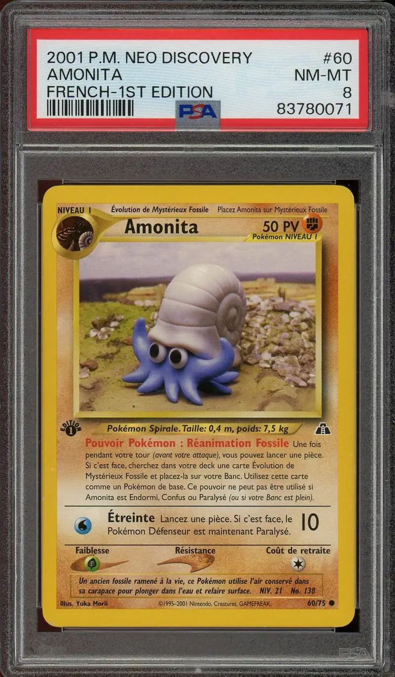 PSA 8 Amonita
