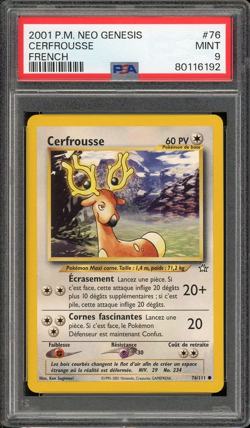 PSA 9 Cerfrousse
