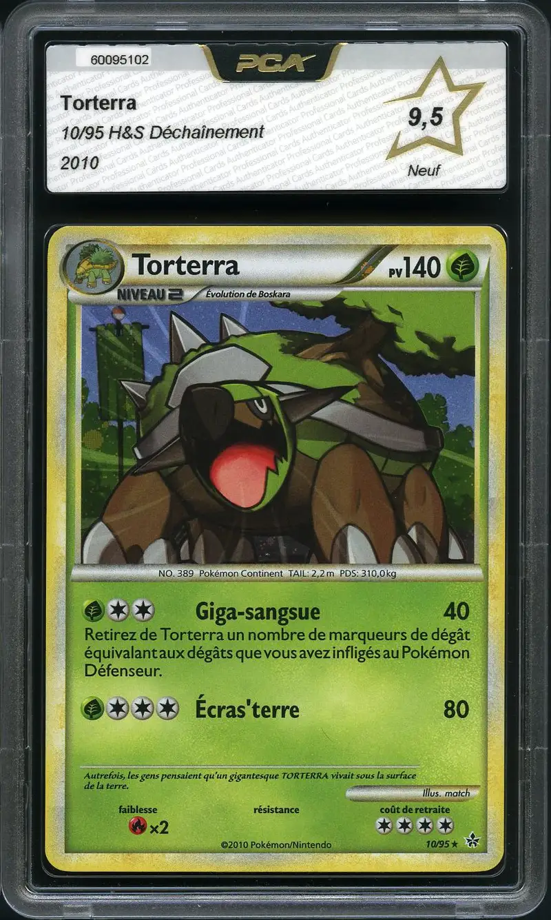 PCA 9.5 Torterra