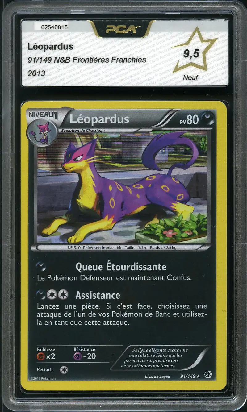 PCA 9.5 Léopardus Holo
