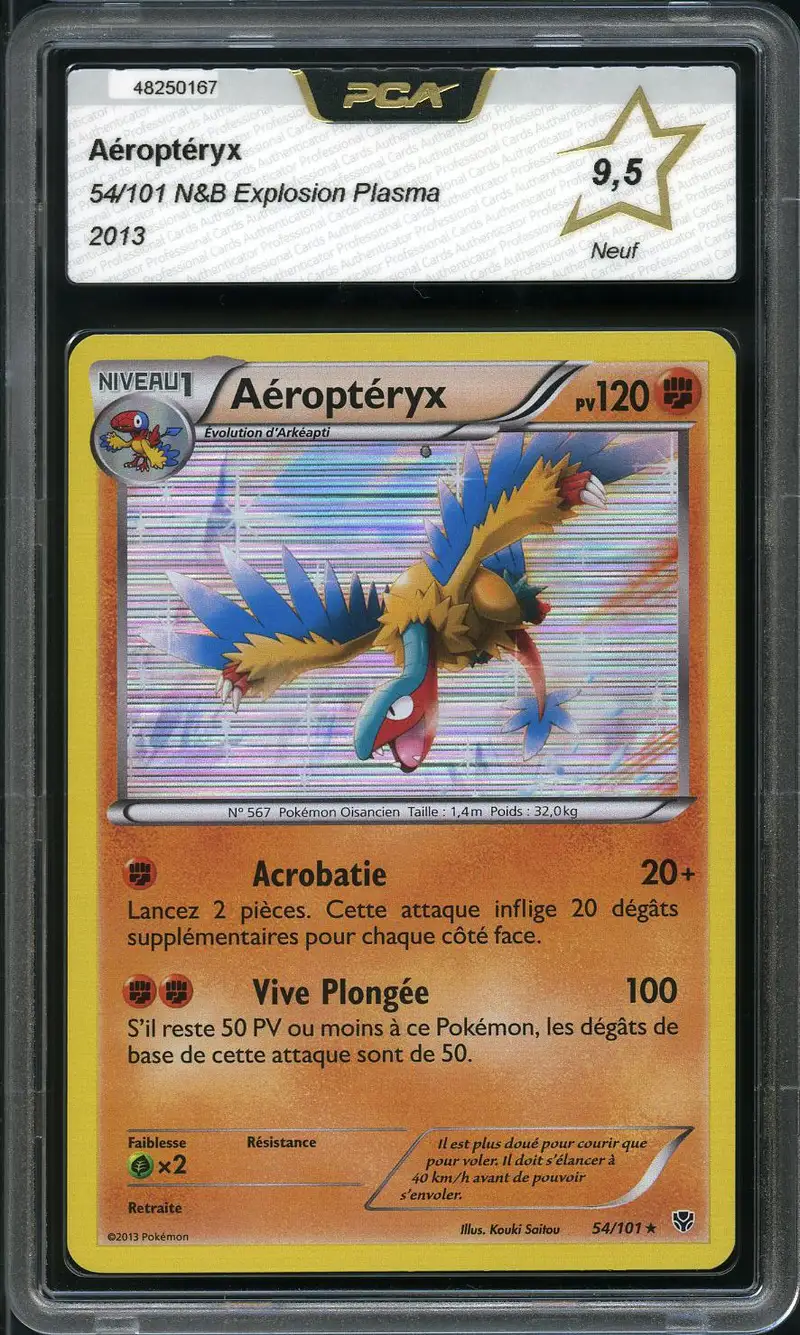 PCA 9.5 Aéroptéryx Holo