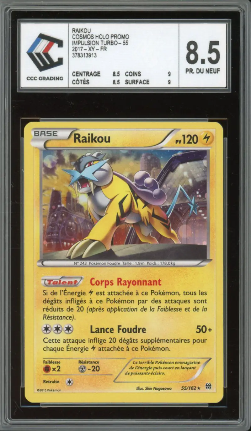 CCC 8.5 Raikou Holo