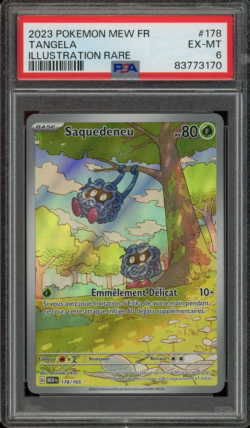 PSA 6 Saquedeneu
